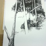 Wald bei Wiepersdorf