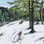 somewhere between Güntersberge and Stiege