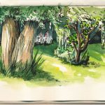 My mother´s garden, view from the terrace