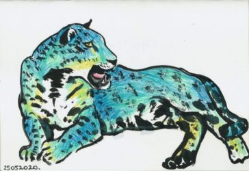 Leopard