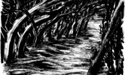 Dazwischen . Landschaften & Turbulenzen