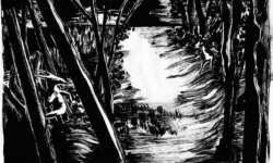 Dazwischen . Landschaften & Turbulenzen