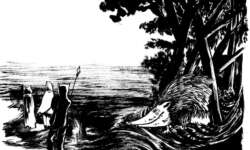 Dazwischen . Landschaften & Turbulenzen