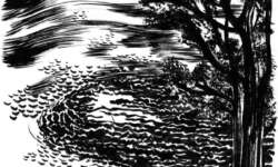 Dazwischen . Landschaften & Turbulenzen