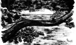 Dazwischen . Landschaften & Turbulenzen